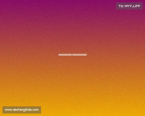 德甲夏季转会窗即将关闭 多支球队加速引援争夺新星